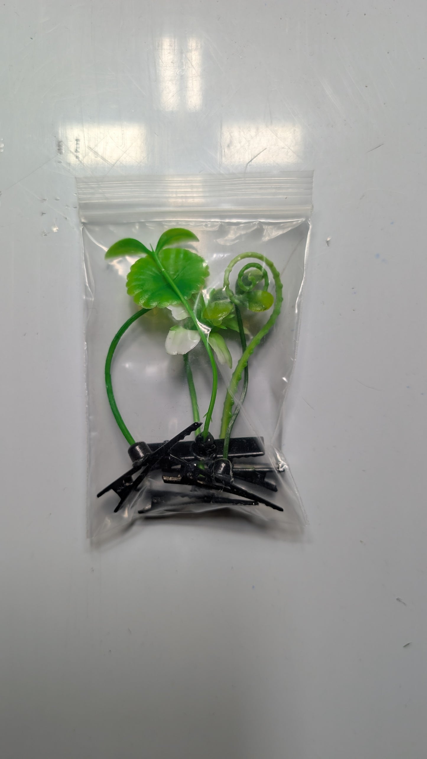Clip-on Sprouts (5 pack)