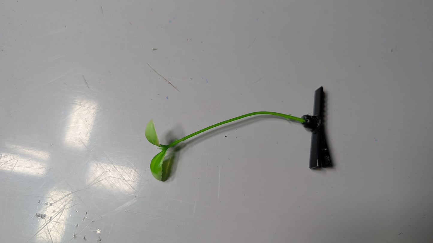 Clip-on Sprouts (5 pack)